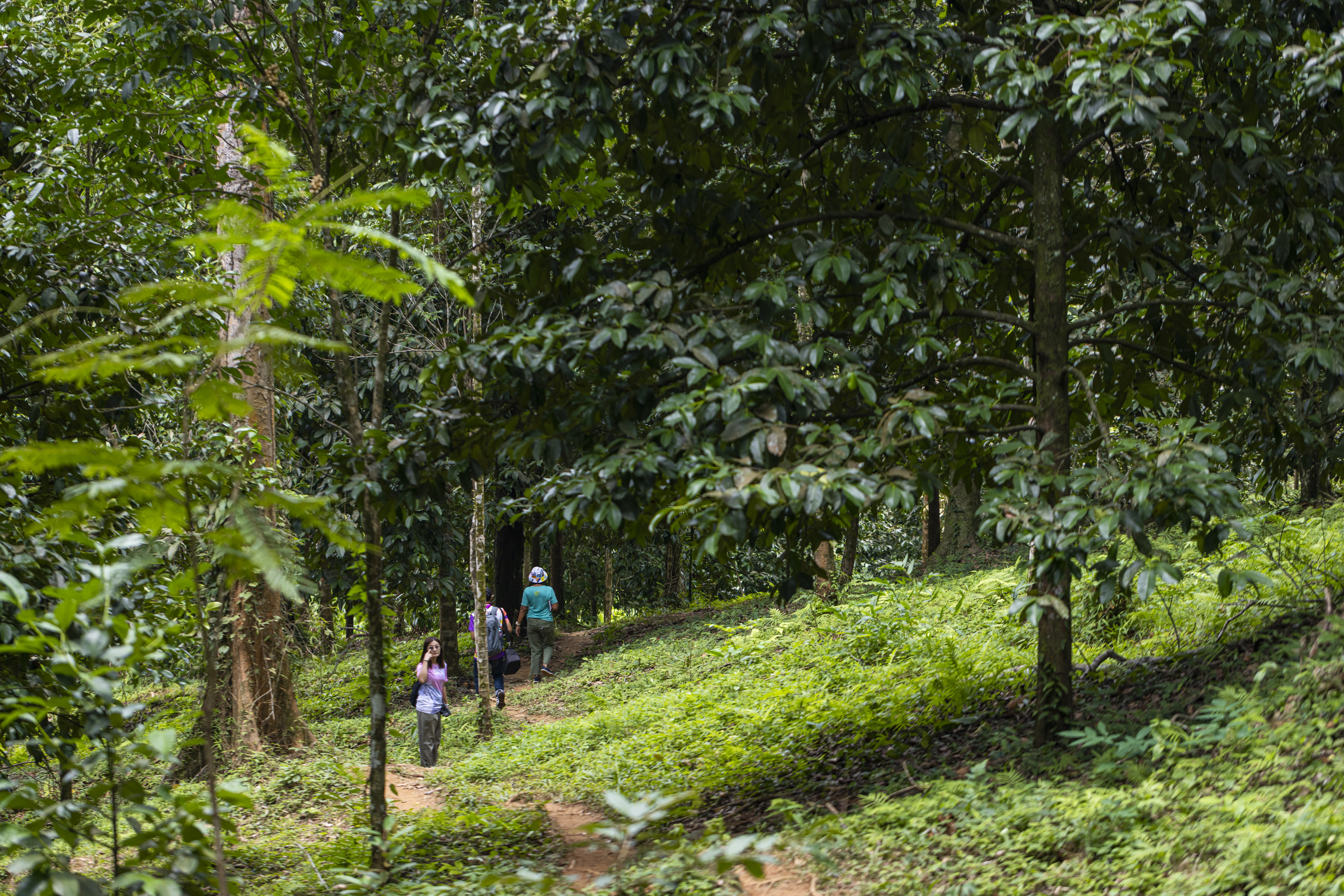 เส้นทางศึกษาธรรมชาติ