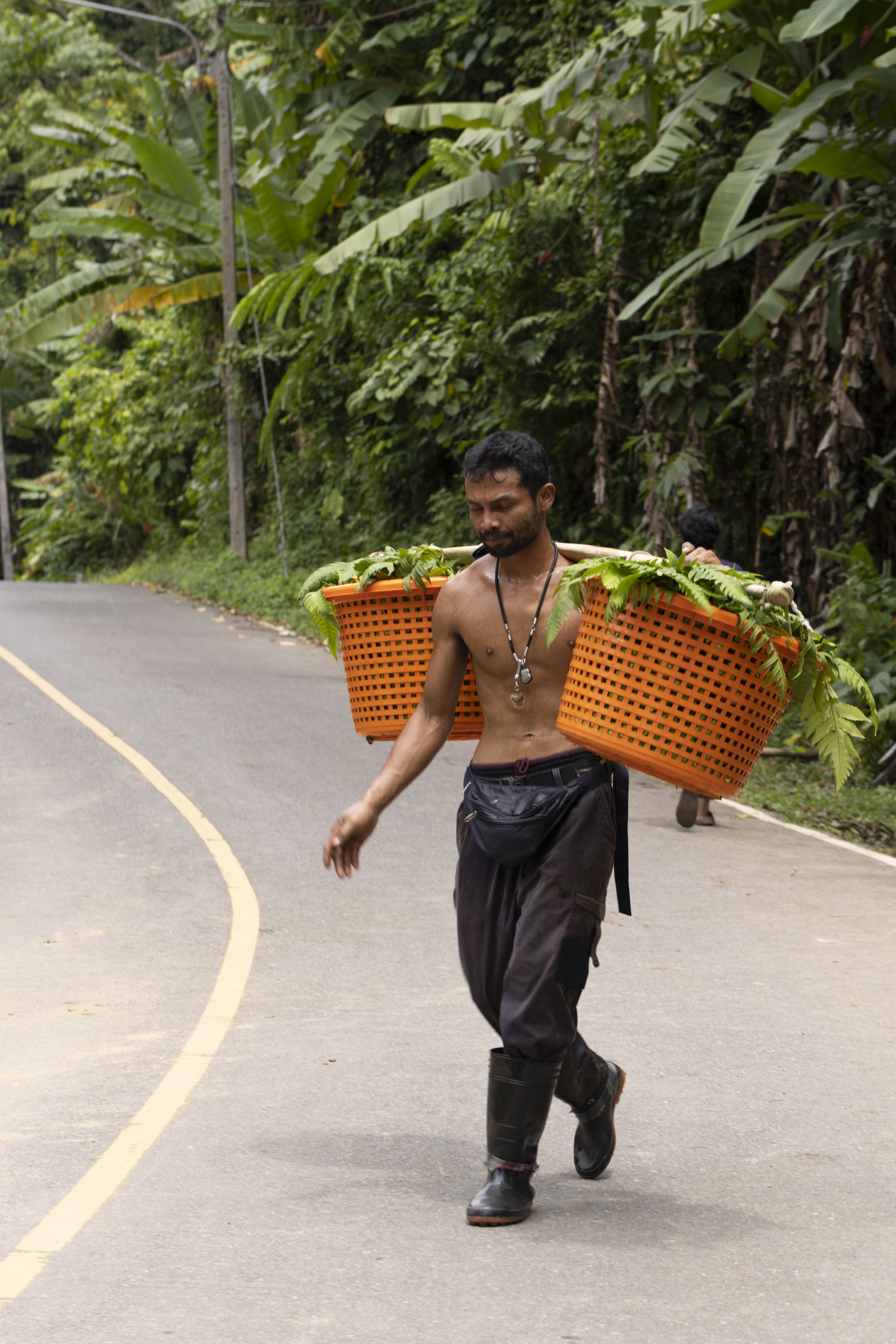 มังคุดเขา