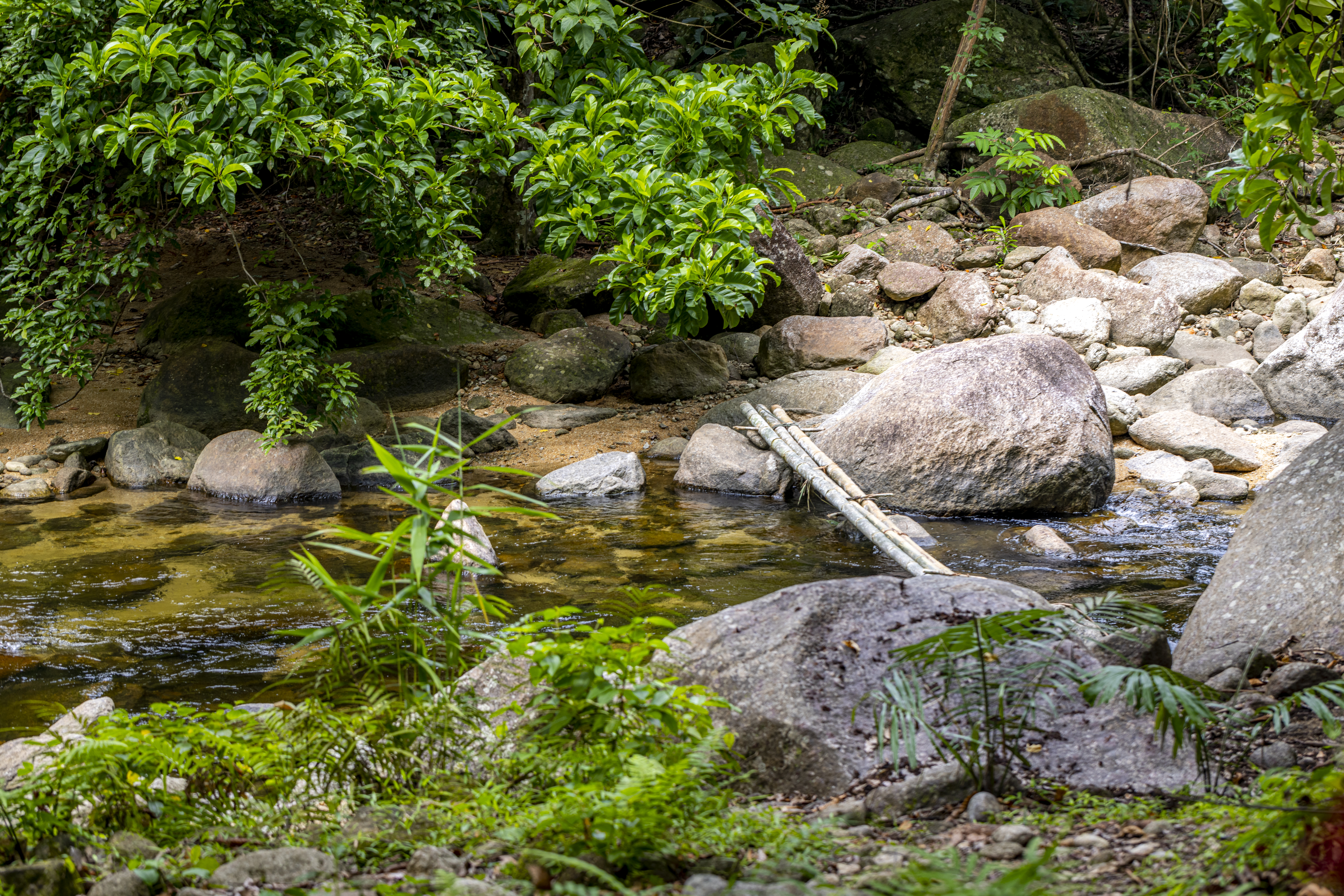 เส้นทางศึกษาธรรมชาติ