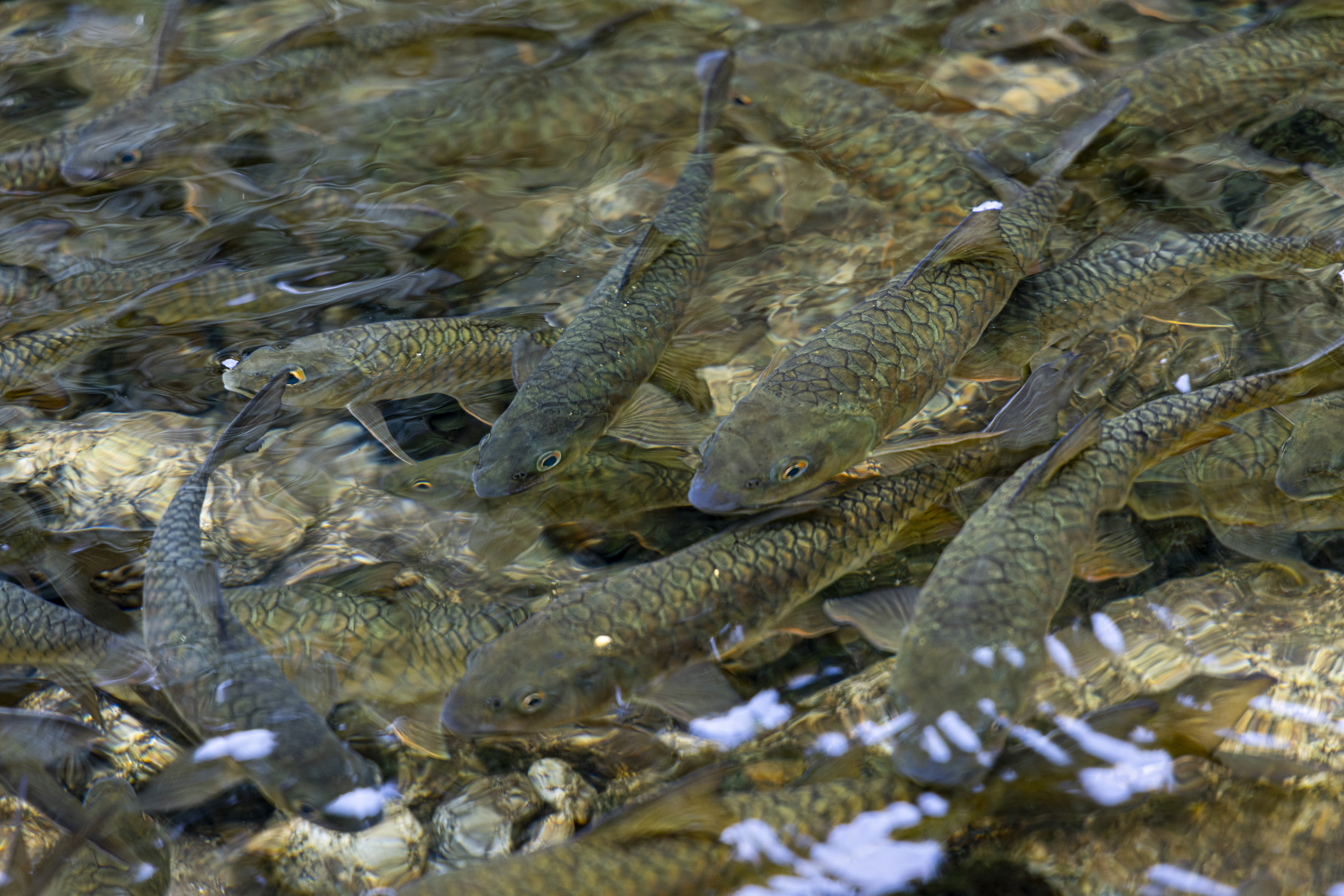 น้ำตกพรหมโลก