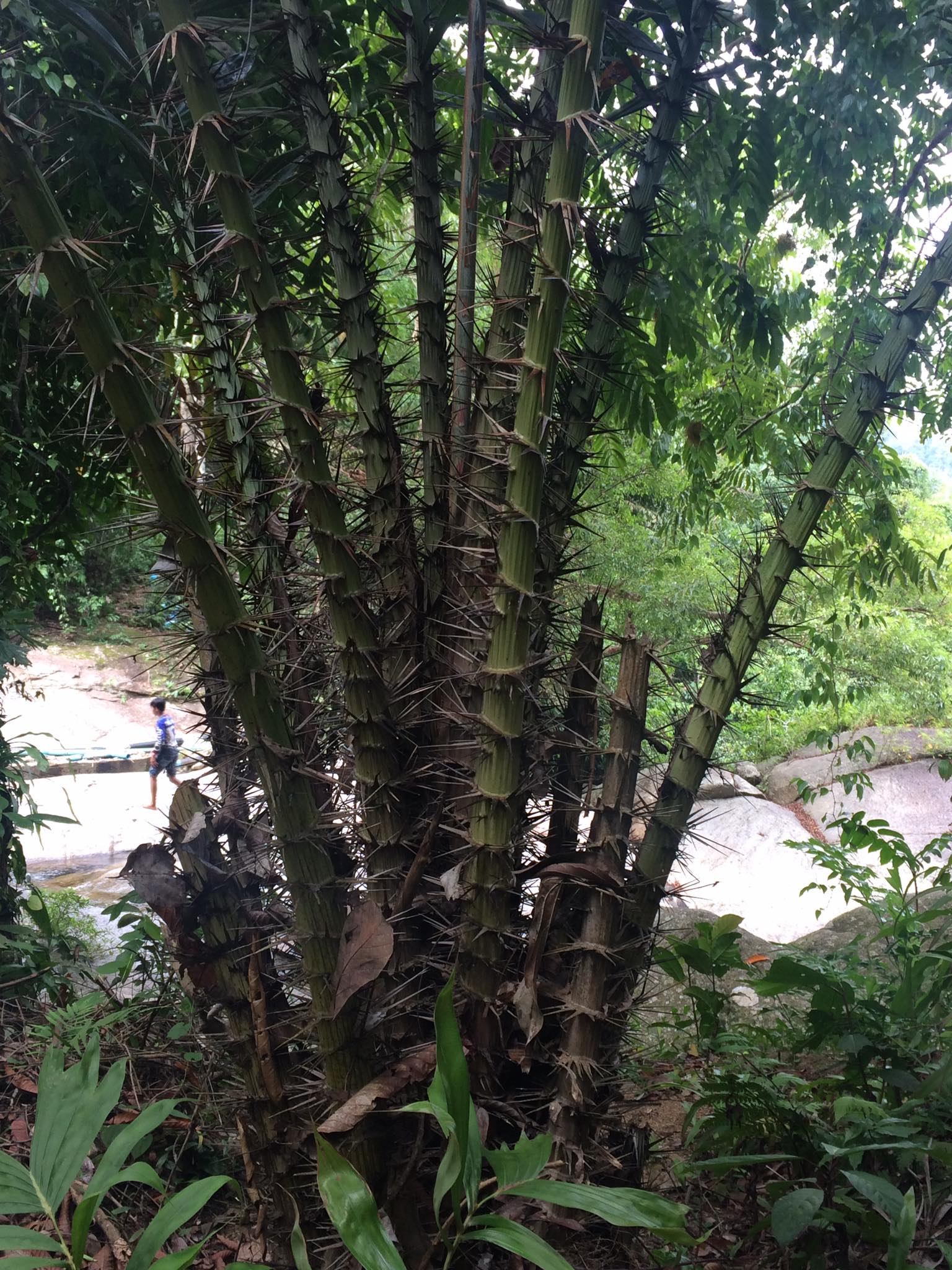 เส้นทางศึกษาธรรมชาติ