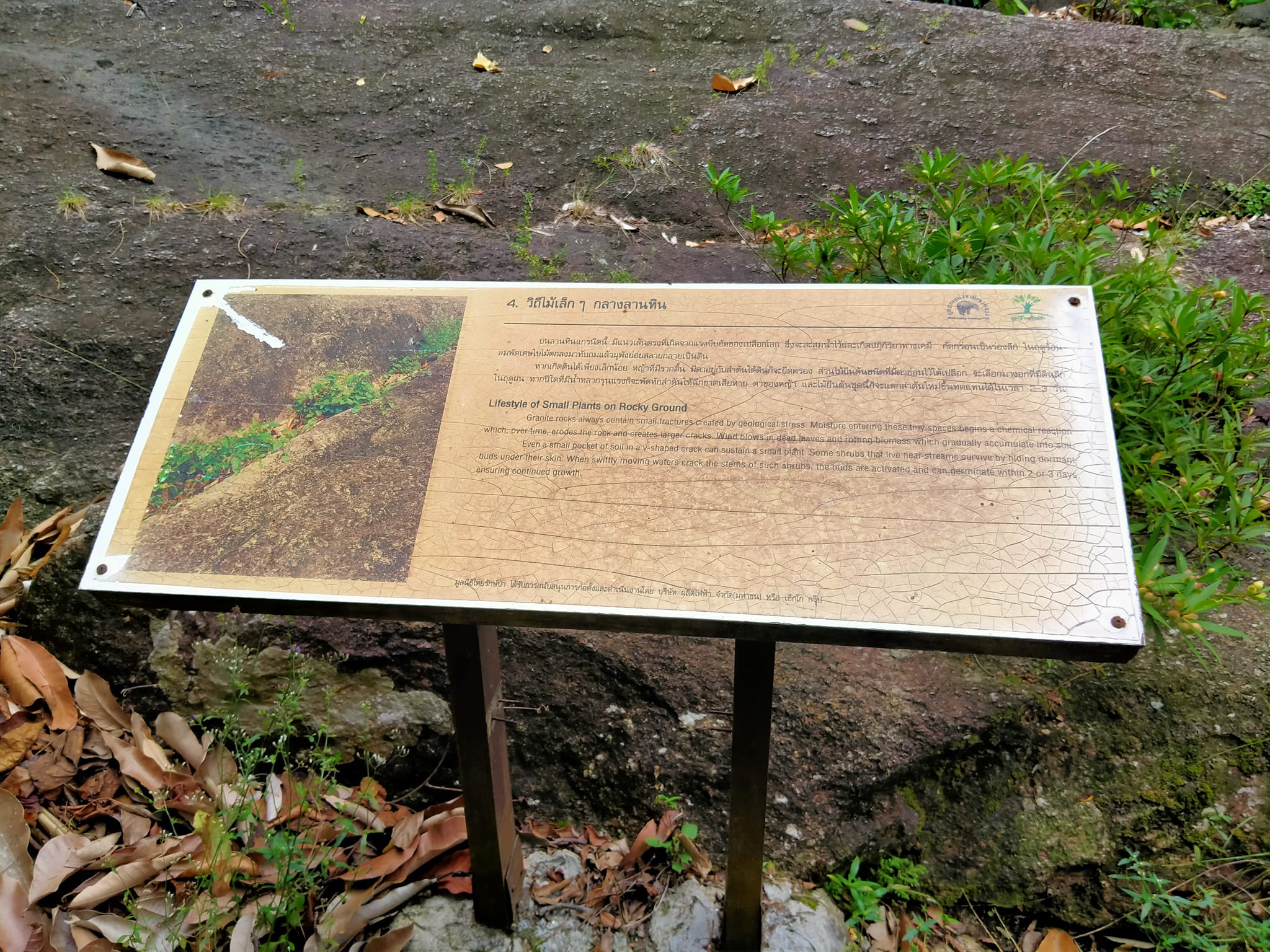 เส้นทางศึกษาธรรมชาติ