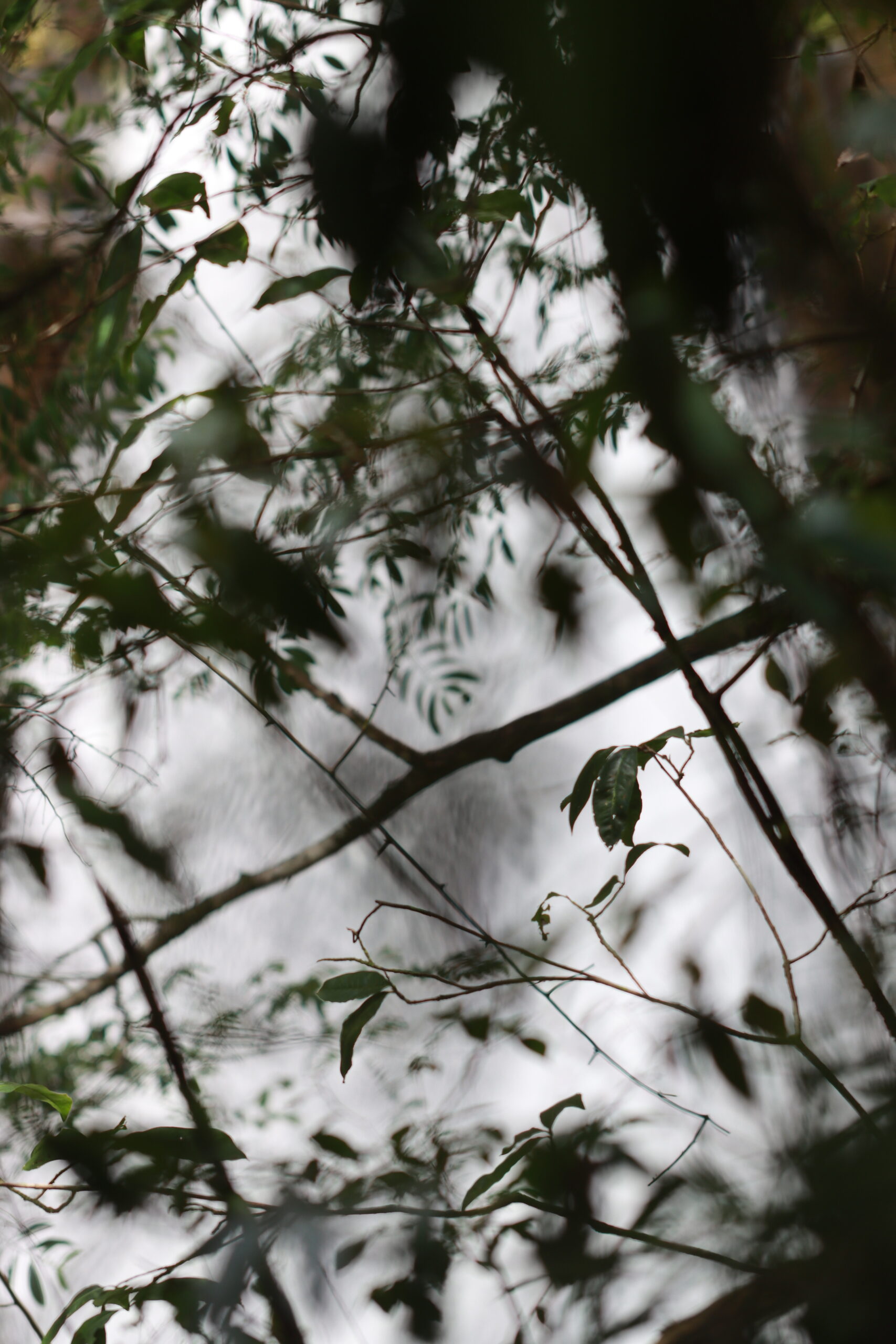 น้ำตกกรุงชิง