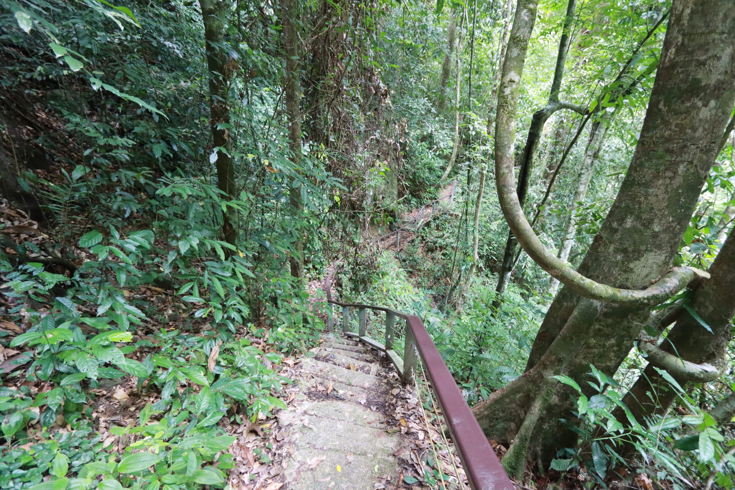 น้ำตกกรุงชิง