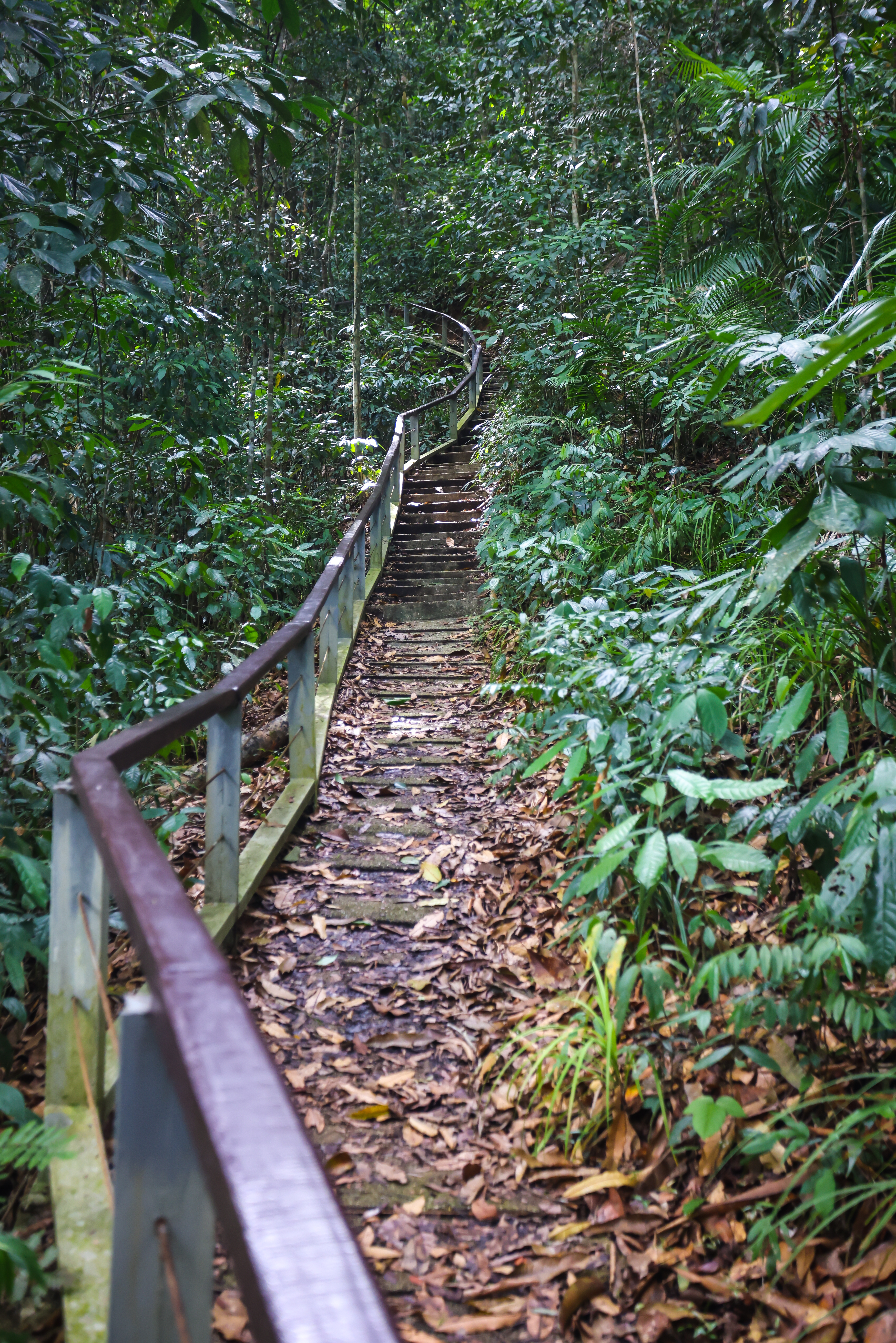 น้ำตกกรุงชิง