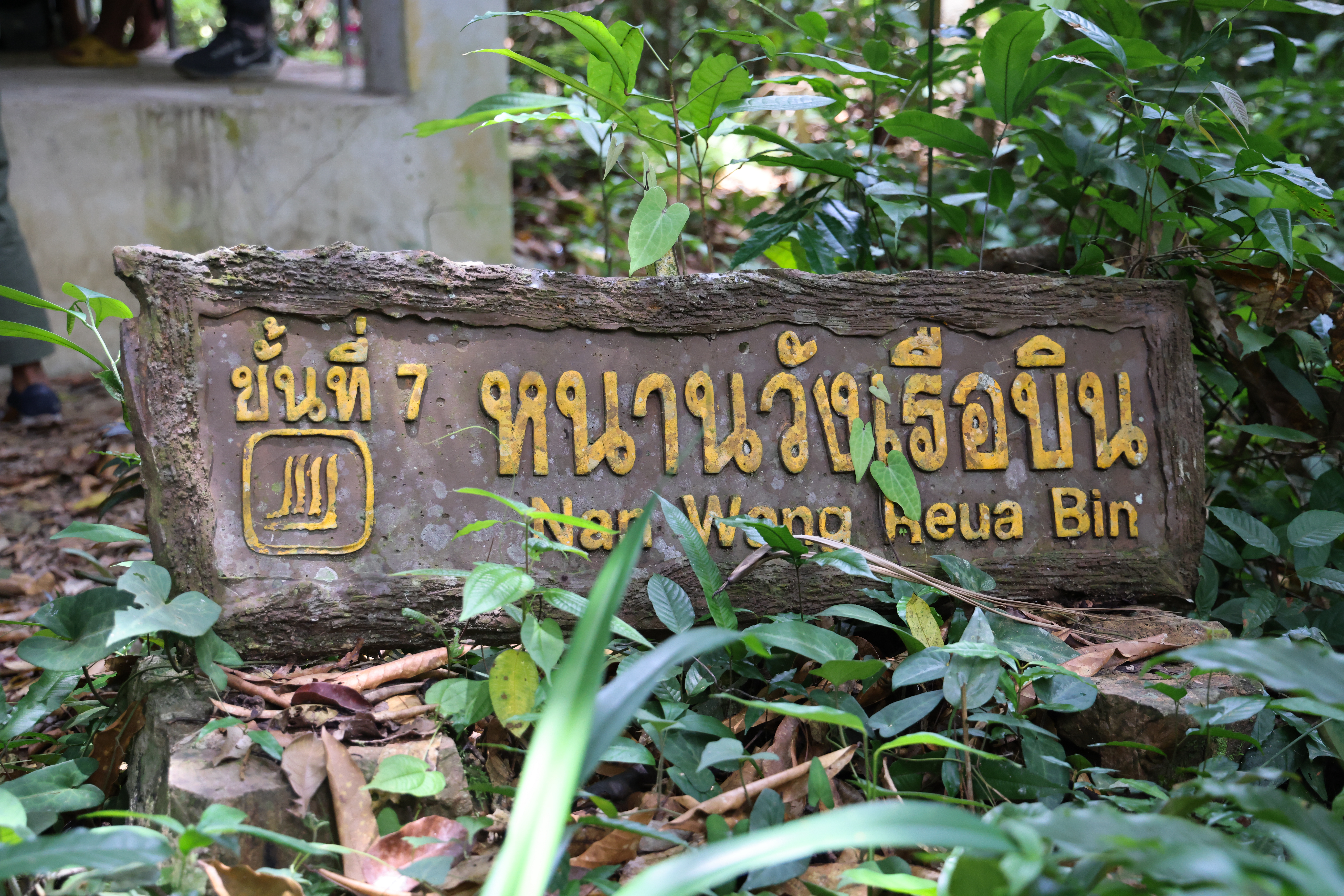 น้ำตกกรุงชิง