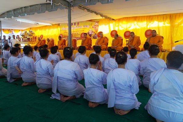 ข้าวยาโค