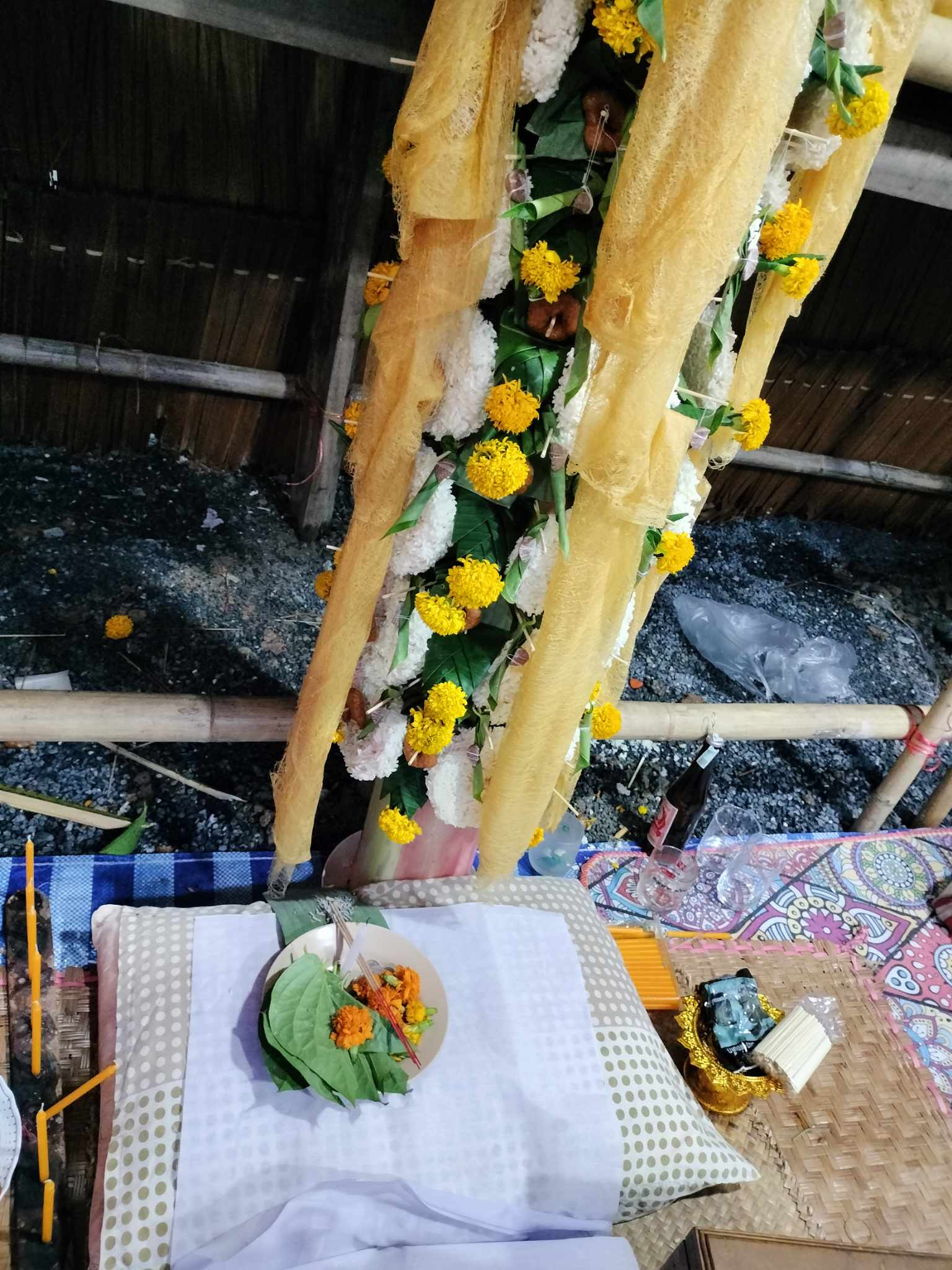 พลูดีที่นครศรีธรรมราช