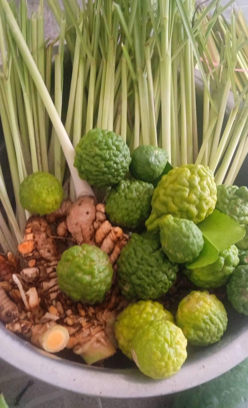 ลูกเห็ดทอด