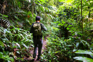 Picture of เมษา สินทบทอง 