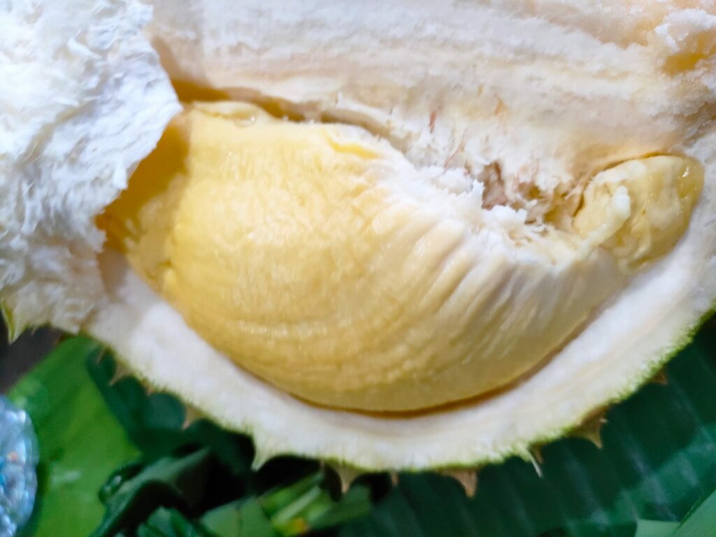 ทุเรียนสุกสำหรับการทำน้ำทิเรียน