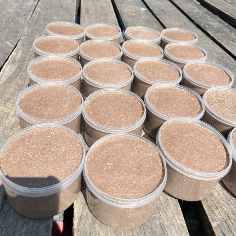 เคยตากหน้า