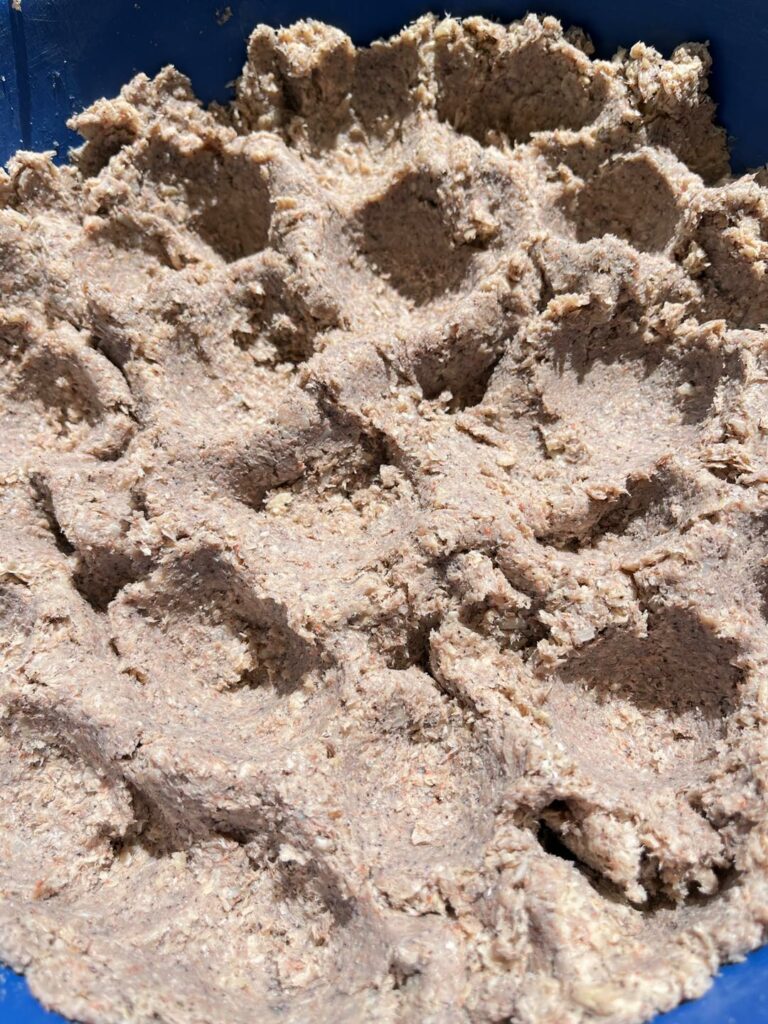 กะปิ เคย เคอย