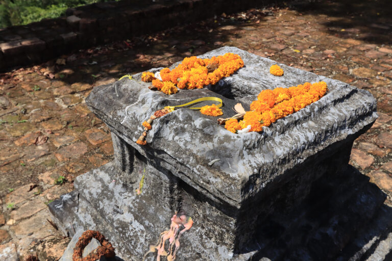 Read more about the article โยนี ครรภ์แห่งสรรพชีวิต และต้นกำเนิดแห่งธรรมชาติ