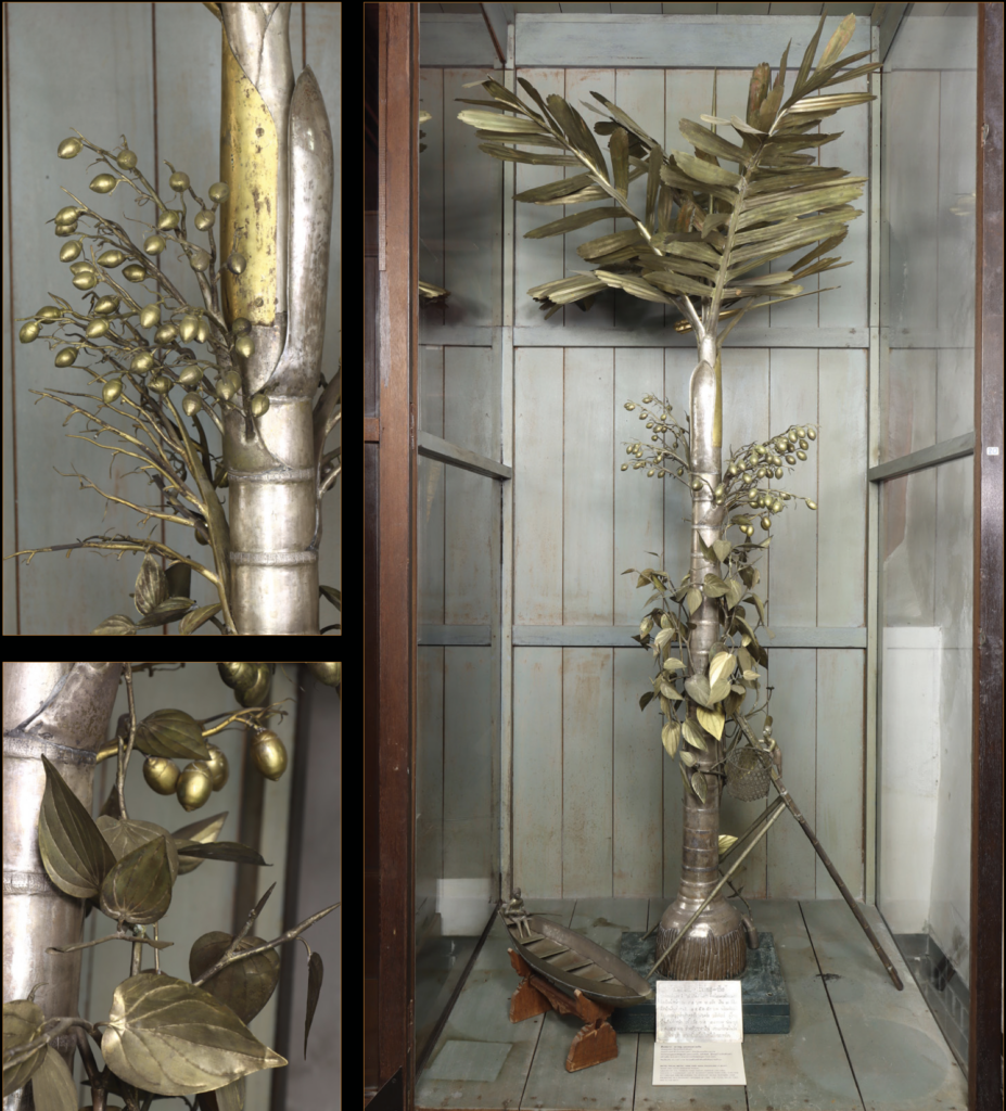 ต้นหมากเงิน