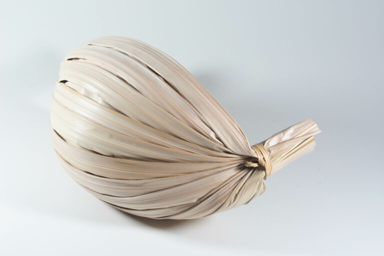 หมาตักน้ำ พ้อ