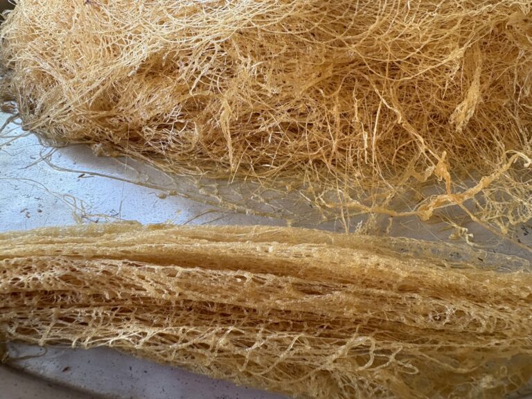 ลาวัดเท