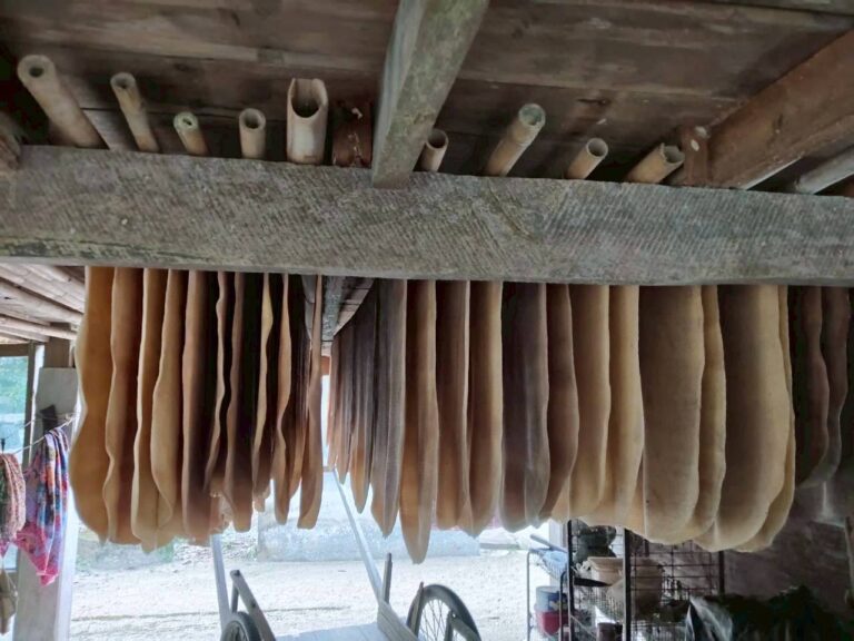 Read more about the article การทำยางแผ่นด้วยจักรรีดยาง (มือหมุน) ของเกษตรกรชาวสวนยางพื้นถิ่น อ.ท่าศาลา จ.นครศรีธรรมราช