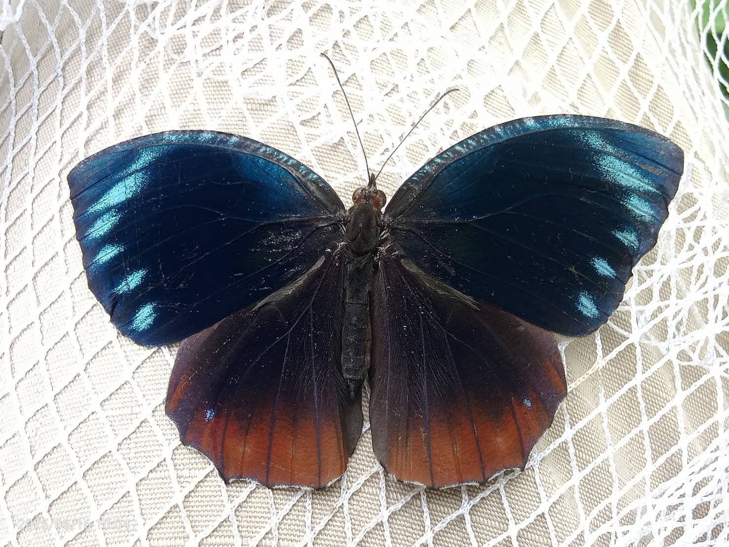 อุทยานแห่งชาติหาดขนอม–หมู่เกาะทะเลใต้