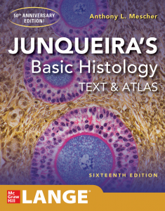 Junqueira's Basic Histology Text and Atlas, 16e