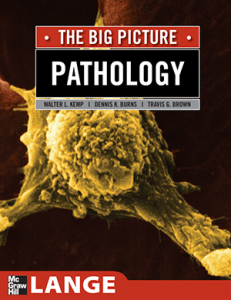 Pathology The Big Picture