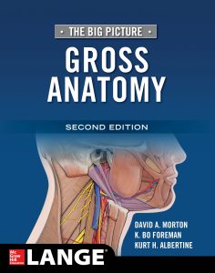 The Big Picture Gross Anatomy, 2e