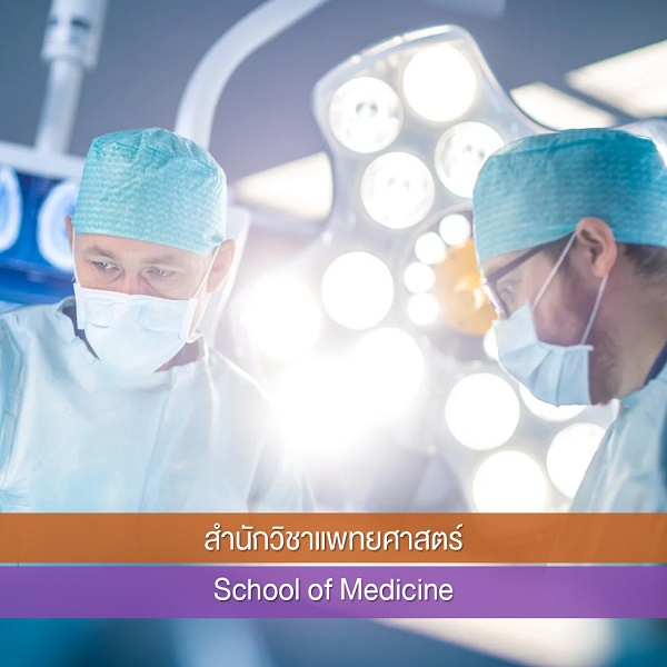 สำนักวิชาแพทย์ศาสตร์