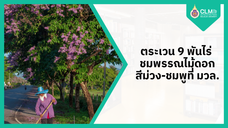 ตระเวน 9 พันไร่ ชมพรรณไม้ดอกสีม่วง-ชมพูที่ มวล.